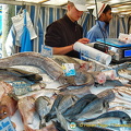 Heaps of fresh fish at Marché Président Wilson 
